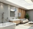 Bathtub, double vanity, skylight, wooden wall, couch, table, plant