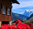 Wooden mountain chalet with large windows, surrounded by snow-capped mountains and red flowers in the foreground