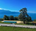 swimming pool, large tree, green grass, mountains, lake, clear blue sky