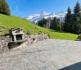 stone wall, stone patio, fireplace, green grass, trees, mountain view