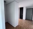 Empty hallway, hardwood floor, white walls, two doors, a tall white wardrobe, ceiling light