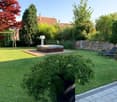 Backyard, swimming pool, lounge chairs, swing, green lawn, plants, shrubs, stone wall