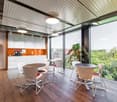 wooden floor, suspended ceiling, coffee maker, table and chairs, large window, plants