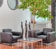 gray chairs, coffee table, large tree, white wall, gray circular window