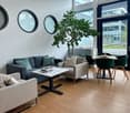 Wooden floor, circular windows, white walls, green chair and table, round potted tree, couches, books, and bottle