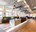 Reception desk, large windows, wood flooring, potted plants, lamps
