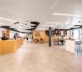 Modern design, wooden desks, bicycles, large open space, people working, indoor plants, large windows, indoor bicycles, tables, chairs