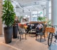 Modern office with natural light, indoor plants, black chairs, bicycles, table, glass windows, open floor plan.