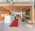 Interior of an office space featuring a reception desk, seating area with tables and benches, open plan layout, wooden paneling, suspended lighting, red rug, and indoor plants.