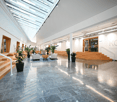 open space, wooden stairs, glass ceiling, multiple potted plants, modern and clean design, office equipment