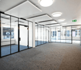 modern office space with glass walls, carpeted floor, large windows, ceiling lights