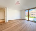 wooden floor, large windows, minimalist design, bright