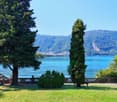 Green garden with lake view, large trees, wooden railing, grassy ground, clear blue sky