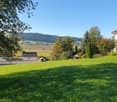 Green lawn, trees, houses, mountains, clear sky