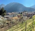 The image shows a picturesque mountain village nestled in a valley, with snow-capped peaks in the background. The village is composed of traditional houses with tiled roofs, surrounded by lush greenery and vineyards. The scene has a serene and tranquil at