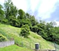 hillside garden with grass, trees, bushes, fences, and a barrel