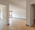 large open room, white walls, beige tiles, wooden doors, two windows, no furniture