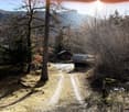dirt road, house, trees, mountains