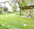 Large yard, trees, wooden shed, plants, garden tools
