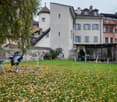 A grassy garden area with fallen leaves, a stone wall, a blue table with a small sculpture, a modern sculpture, and several buildings in the background.