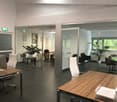 The image shows a modern and open office space with large windows providing a view of the surrounding greenery. The office features a mix of workstations, including desks with computers, and a lounge area with comfortable chairs. The space has a clean and