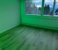 empty room with wooden floors, green walls, large window with mountain view