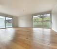 empty room, wooden floor, white walls, large windows, view of the outside