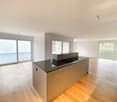 modern kitchen with island, wooden floor, large windows, sliding doors