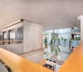 Open office space with balcony, grey flooring, suspended ceiling, wooden rail, hanging potted plants