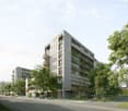 A high rise concrete and metal building with many balconies, next to a tree lined street