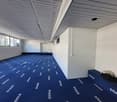 empty room with blue carpet, white walls, windows, two benches