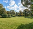 Large open green space, lush plants, trees, bushes, cloudy sky, bright sunlight