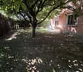 Lush green backyard with a large tree providing shade, a paved path leading to a patio area with outdoor furniture, and a well-maintained garden surrounding the property.