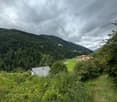 mountainous landscape with trees and houses in the background