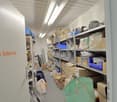 Storage room with shelves, boxes, bags, and various items