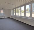 empty room, white walls, gray carpet, large windows, white ceiling, white radiators