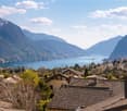Houses with tiled roofs, mountains, lake, town in the distance