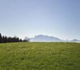 Green grass field, trees, mountain range in distance, clear sky