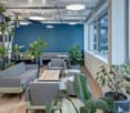 modern office lounge area with blue walls, wooden floors, multiple gray couches, wooden tables, and large potted plants