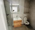 Bathroom with toilet, walk-in shower, sink, mirror, and wooden cabinet