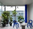 Modern indoor space with hanging lamps, blue chairs, cement tables, and various potted plants by the window