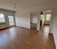 Empty room, wooden floor, white walls, glass doors, windows, radiators