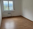 empty room, wooden floor, white walls, large window, heater