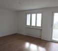 empty room, white walls, wooden floor, windows, balcony