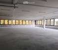 Large open-plan office space with high ceilings, concrete floor, and large windows overlooking a wooded outdoor area. The space appears to be unfinished or under renovation, with exposed ceiling beams and a bare concrete floor.