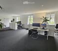 an office space with multiple desks, chairs, computers, monitors, plants, a whiteboard, and carpeted floors
