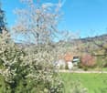 Trees and plants in a garden with a view of a house, mountains, and blue sky.