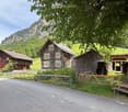 Swiss-style wooden houses, red shutters, chimneys, wooden fences, green fields, large trees