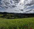 A panoramic view of a lush green field with scattered trees, distant hills, and a partly cloudy sky. Small houses and structures are visible in the distance.