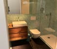 Modern bathroom with green mosaic tiles, a wooden vanity with a sink, a toilet, and a glass-enclosed shower. Features a geometric patterned rug on the floor.